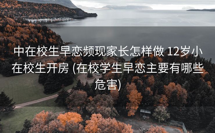 中在校生早恋频现家长怎样做 12岁小在校生开房 (在校学生早恋主要有哪些危害)