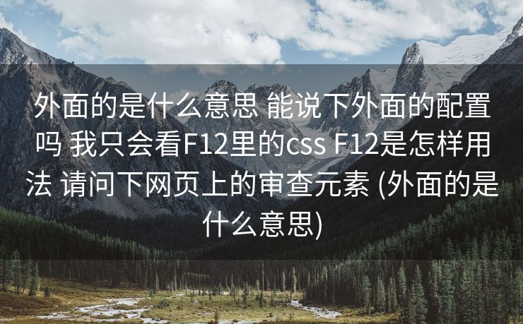 外面的是什么意思 能说下外面的配置吗 我只会看F12里的css F12是怎样用法 请问下网页上的审查元素 (外面的是什么意思)