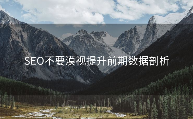 SEO不要漠视提升前期数据剖析