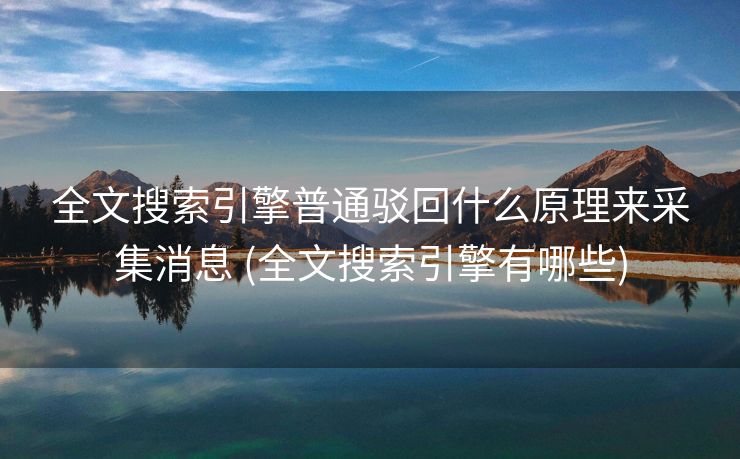 全文搜索引擎普通驳回什么原理来采集消息 (全文搜索引擎有哪些)