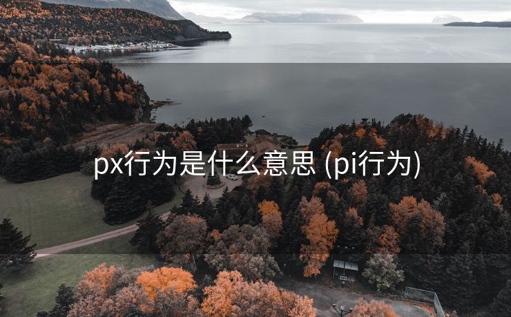 px行为是什么意思 (pi行为)