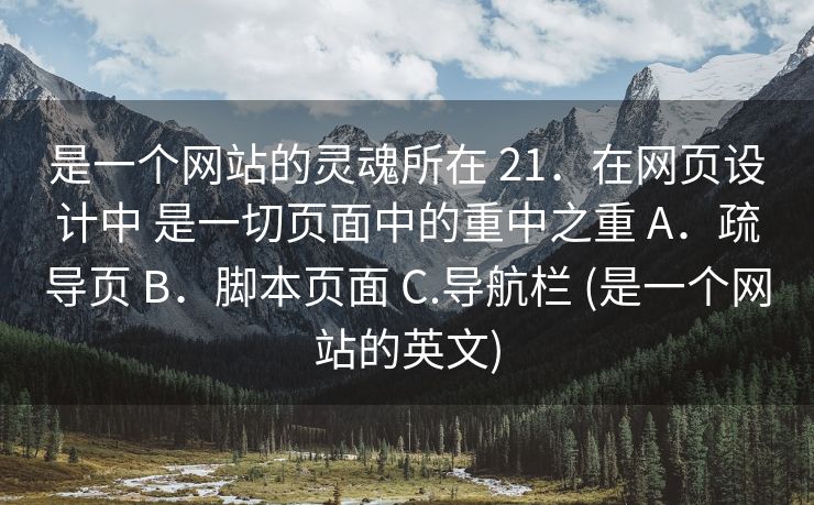 是一个网站的灵魂所在 21．在网页设计中 是一切页面中的重中之重 A．疏导页 B．脚本页面 C.导航栏 (是一个网站的英文)