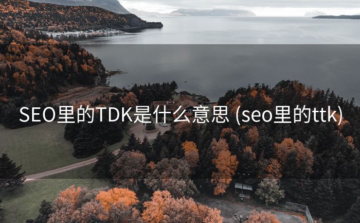 SEO里的TDK是什么意思 (seo里的ttk)