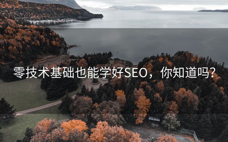 零技术基础也能学好SEO，你知道吗？