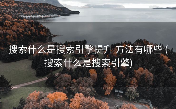 搜索什么是搜索引擎提升 方法有哪些 (搜索什么是搜索引擎)