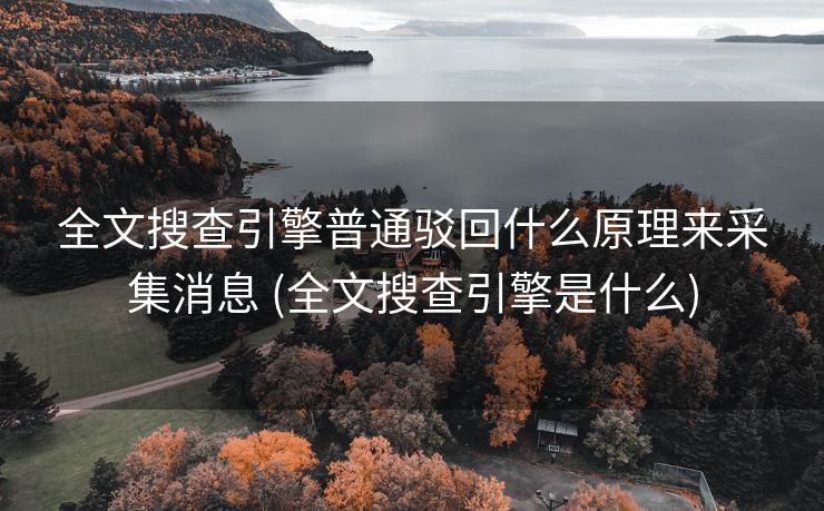 全文搜查引擎普通驳回什么原理来采集消息 (全文搜查引擎是什么)