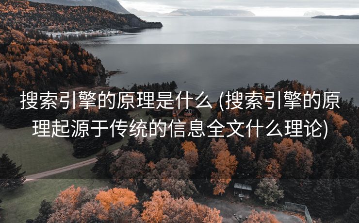 搜索引擎的原理是什么 (搜索引擎的原理起源于传统的信息全文什么理论)