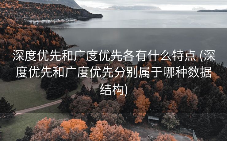 深度优先和广度优先各有什么特点 (深度优先和广度优先分别属于哪种数据结构)