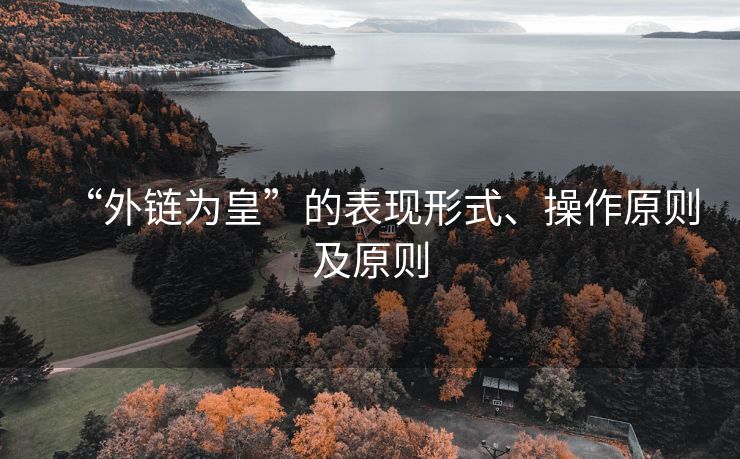 “外链为皇”的表现形式、操作原则及原则