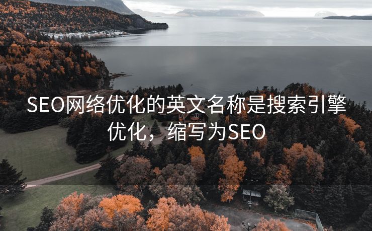 SEO网络优化的英文名称是搜索引擎优化，缩写为SEO