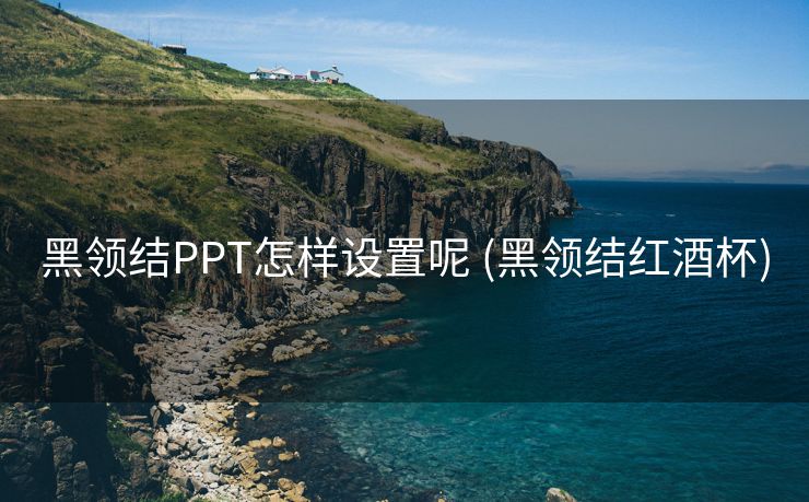 黑领结PPT怎样设置呢 (黑领结红酒杯)