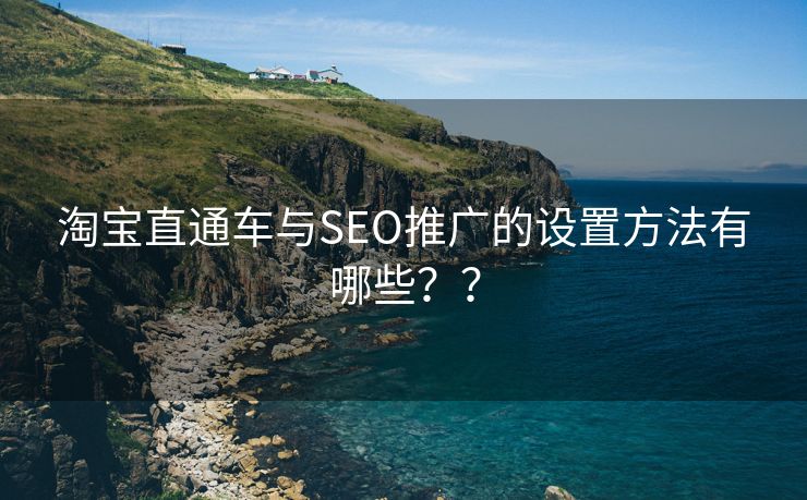 淘宝直通车与SEO推广的设置方法有哪些？？