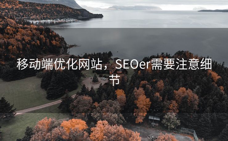 移动端优化网站，SEOer需要注意细节