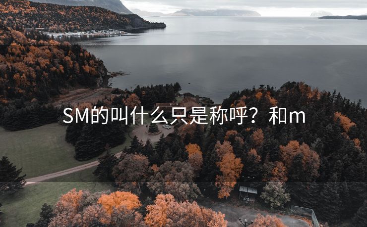 SM的叫什么只是称呼？和m