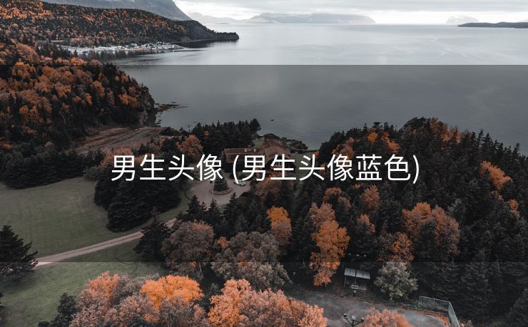 男生头像 (男生头像蓝色)