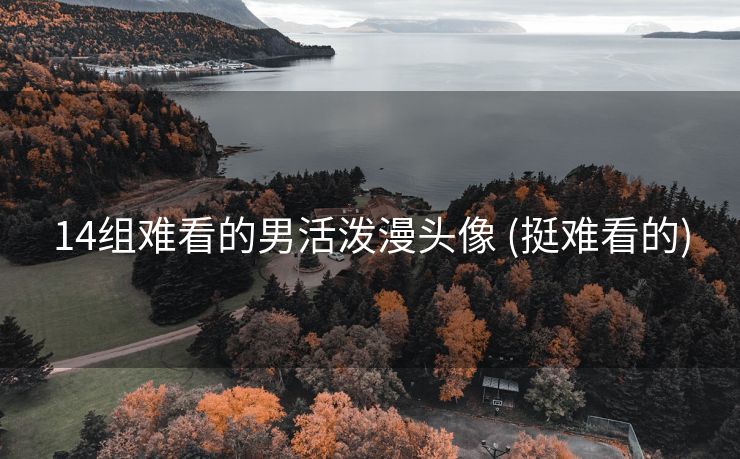 14组难看的男活泼漫头像 (挺难看的)