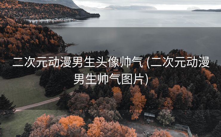 二次元动漫男生头像帅气 (二次元动漫男生帅气图片)
