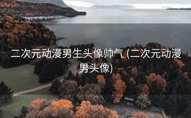 二次元动漫男生头像帅气 (二次元动漫男头像)