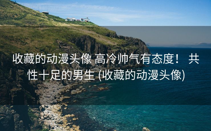 收藏的动漫头像 高冷帅气有态度！ 共性十足的男生 (收藏的动漫头像)