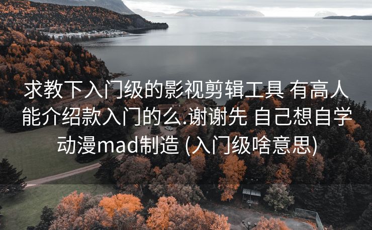 求教下入门级的影视剪辑工具 有高人能介绍款入门的么.谢谢先 自己想自学动漫mad制造 (入门级啥意思)
