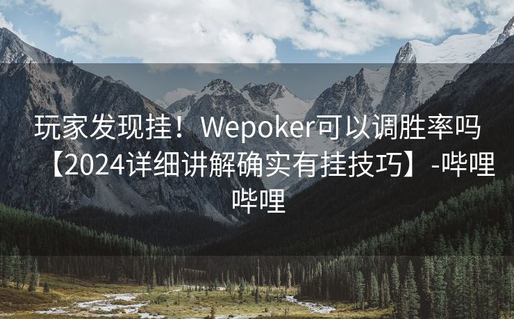 玩家发现挂！Wepoker可以调胜率吗【2024详细讲解确实有挂技巧】-哔哩哔哩