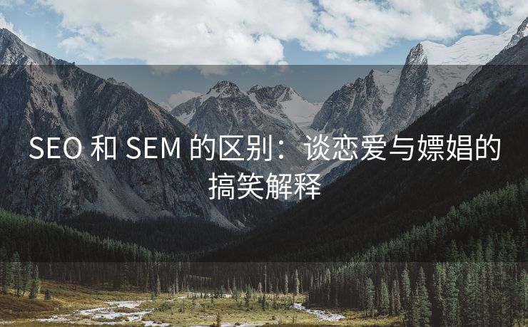 SEO 和 SEM 的区别：谈恋爱与嫖娼的搞笑解释