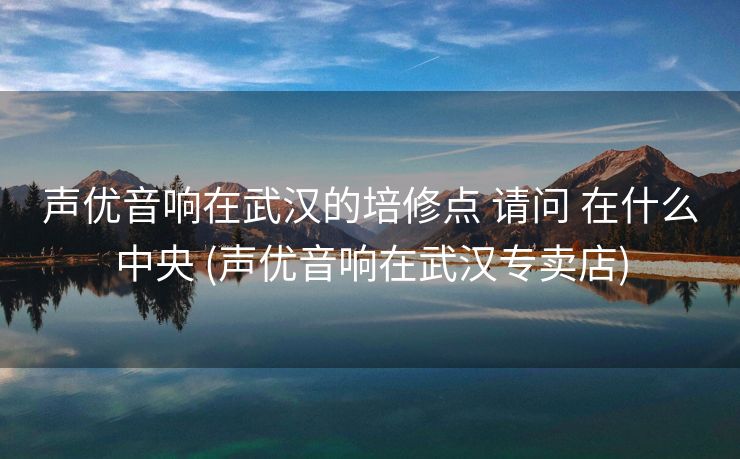声优音响在武汉的培修点 请问 在什么中央 (声优音响在武汉专卖店)