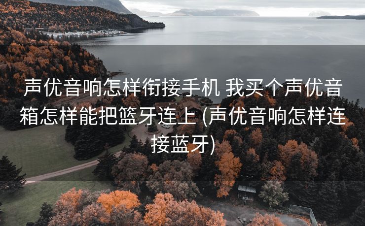 声优音响怎样衔接手机 我买个声优音箱怎样能把篮牙连上 (声优音响怎样连接蓝牙)
