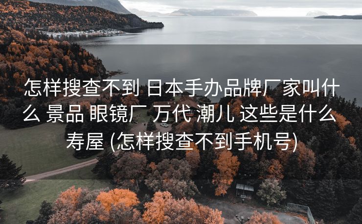 怎样搜查不到 日本手办品牌厂家叫什么 景品 眼镜厂 万代 潮儿 这些是什么 寿屋 (怎样搜查不到手机号)