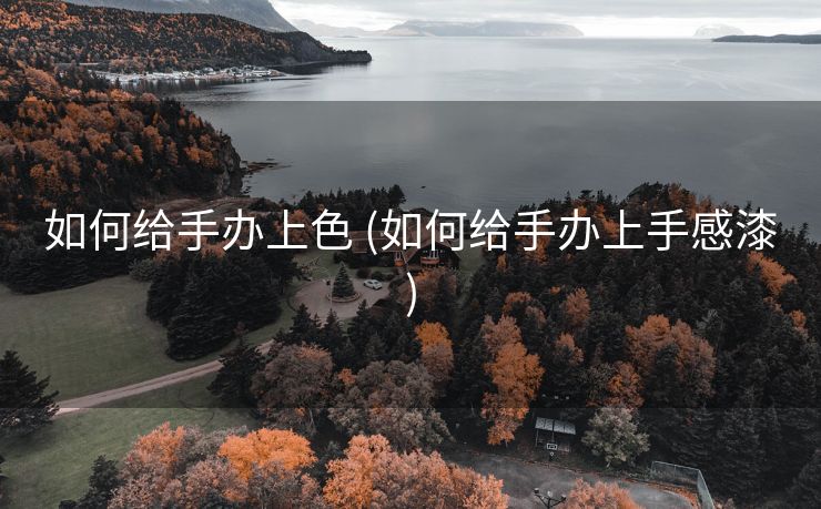 如何给手办上色 (如何给手办上手感漆)