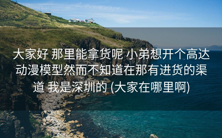 大家好 那里能拿货呢 小弟想开个高达动漫模型然而不知道在那有进货的渠道 我是深圳的 (大家在哪里啊)