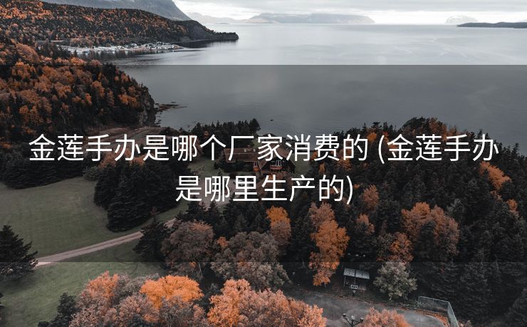金莲手办是哪个厂家消费的 (金莲手办是哪里生产的)