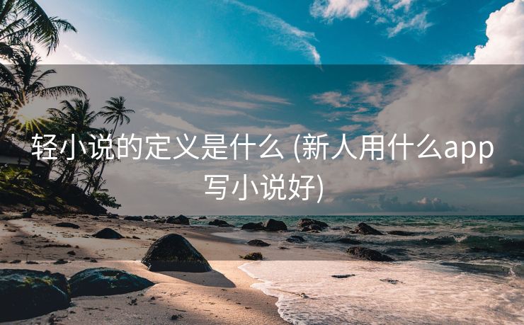 轻小说的定义是什么 (新人用什么app写小说好)