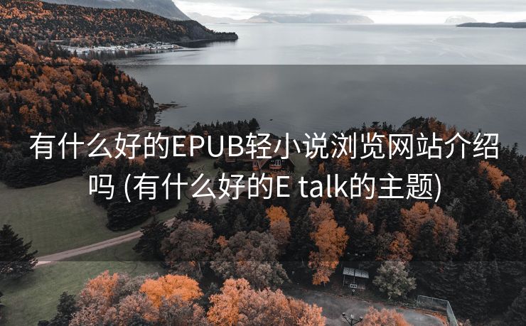 有什么好的EPUB轻小说浏览网站介绍吗 (有什么好的E talk的主题)