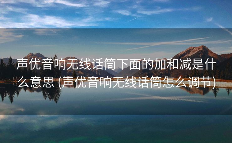 声优音响无线话筒下面的加和减是什么意思 (声优音响无线话筒怎么调节)