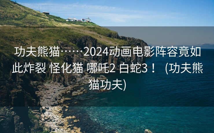 功夫熊猫……2024动画电影阵容竟如此炸裂 怪化猫 哪吒2 白蛇3 ！ (功夫熊猫功夫)