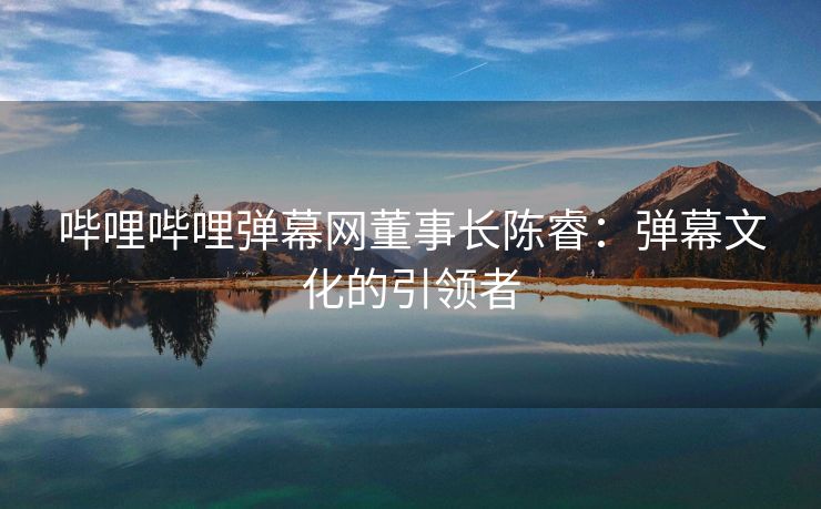 哔哩哔哩弹幕网董事长陈睿：弹幕文化的引领者