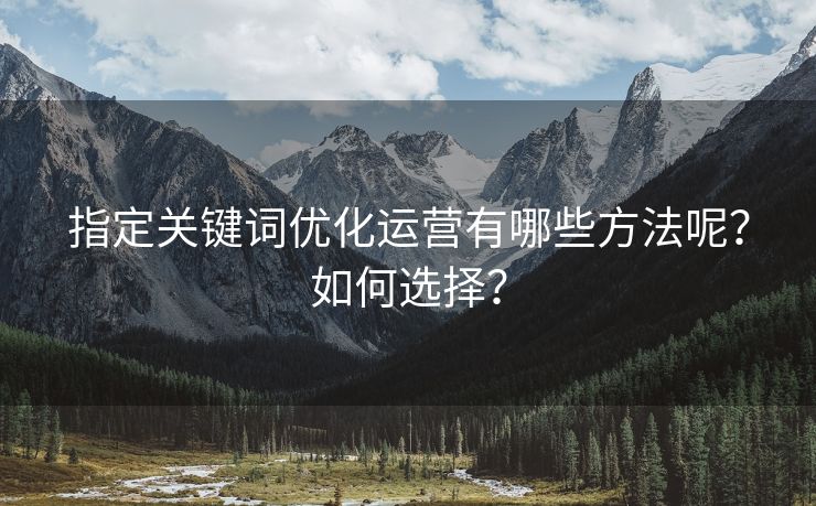 指定关键词优化运营有哪些方法呢？如何选择？