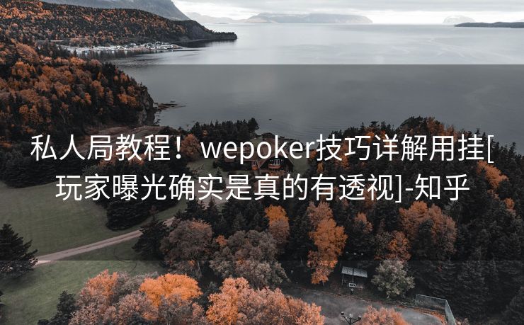 私人局教程！wepoker技巧详解用挂[玩家曝光确实是真的有透视]-知乎