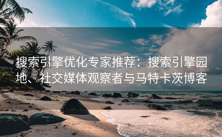 搜索引擎优化专家推荐：搜索引擎园地、社交媒体观察者与马特卡茨博客