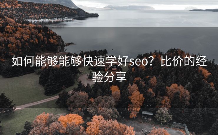 如何能够能够快速学好seo？比价的经验分享