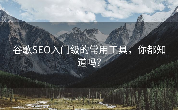 谷歌SEO入门级的常用工具，你都知道吗？