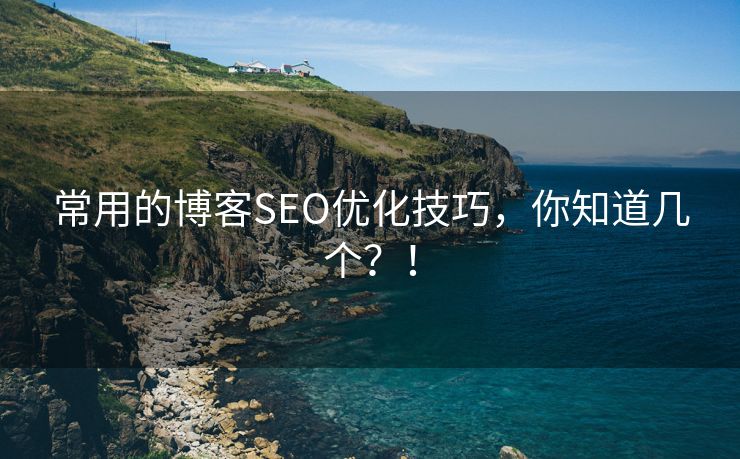 常用的博客SEO优化技巧，你知道几个？！