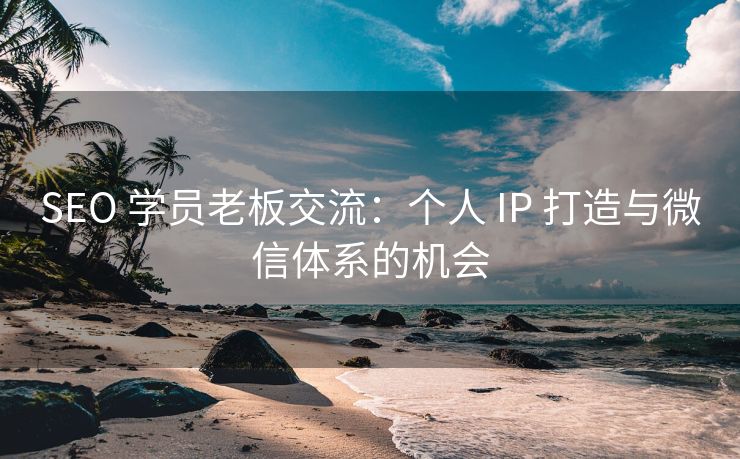 SEO 学员老板交流：个人 IP 打造与微信体系的机会