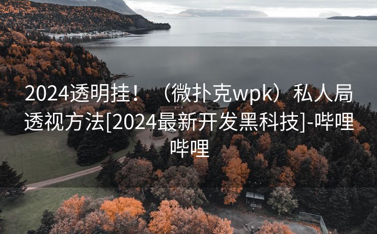 2024透明挂！（微扑克wpk）私人局透视方法[2024最新开发黑科技]-哔哩哔哩