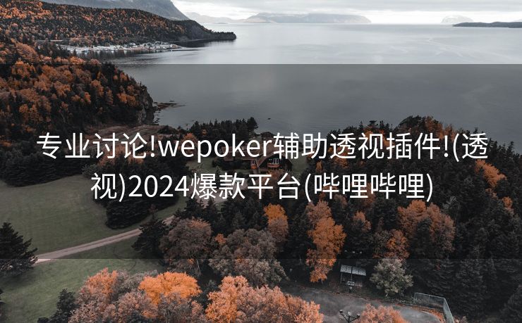 专业讨论!wepoker辅助透视插件!(透视)2024爆款平台(哔哩哔哩)