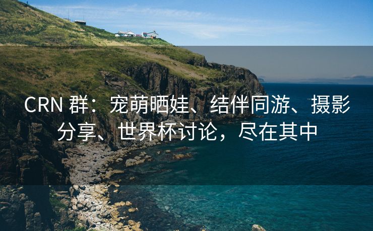 CRN 群：宠萌晒娃、结伴同游、摄影分享、世界杯讨论，尽在其中