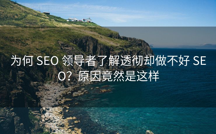 为何 SEO 领导者了解透彻却做不好 SEO？原因竟然是这样
