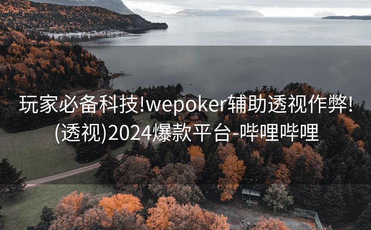 玩家必备科技!wepoker辅助透视作弊!(透视)2024爆款平台-哔哩哔哩