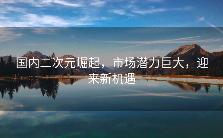 国内二次元崛起，市场潜力巨大，迎来新机遇